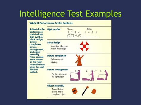 application and impact of intelligence and intelligence testing|examples of intelligence testing.